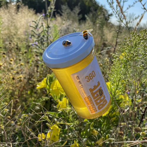 Berliner Beute Sommerblüte Honig Klar 360g