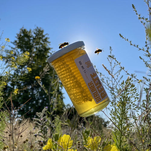 Berliner Beute Sommerblüte Honig mit Wabe 360g