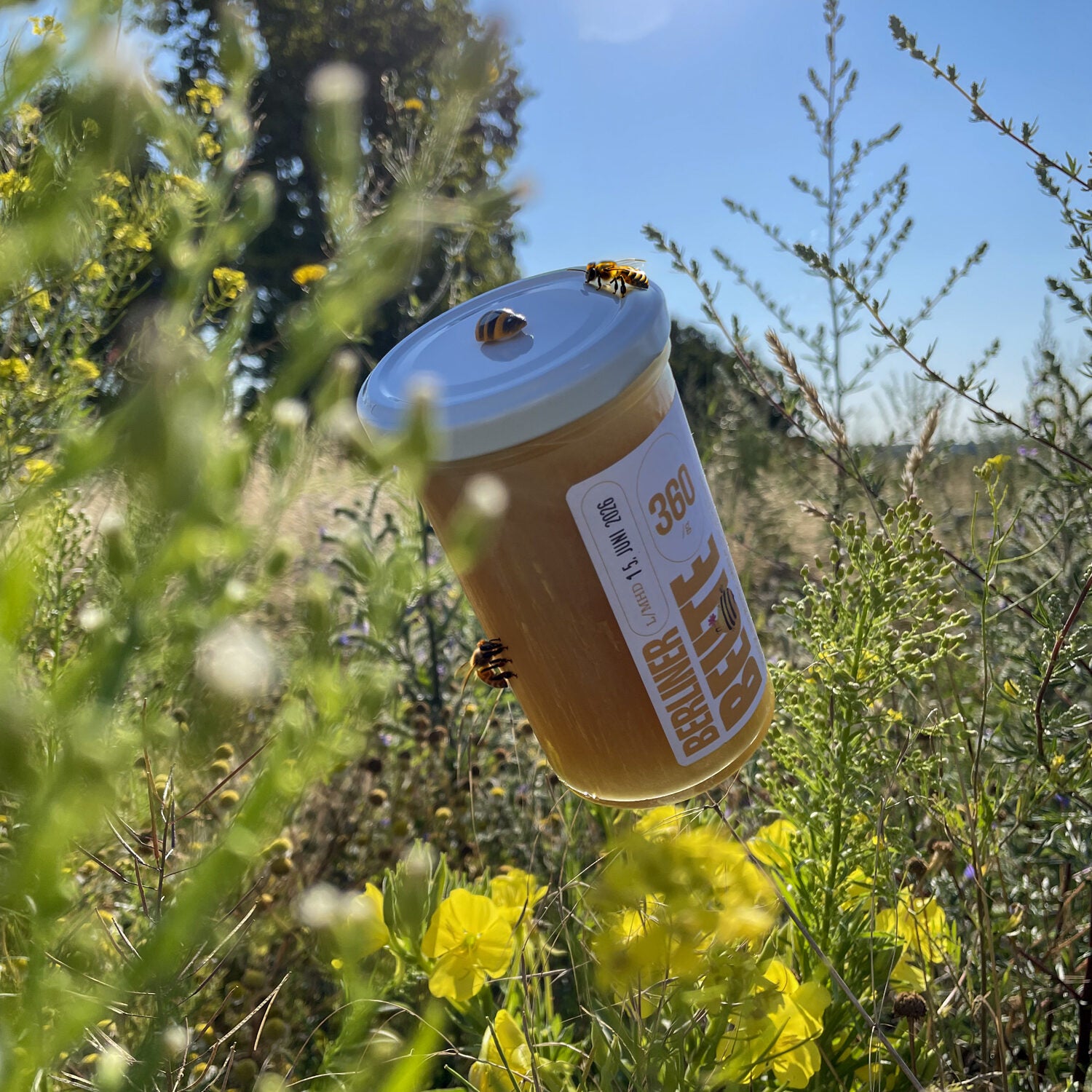 Berliner Beute Sommerblüte Honig Cremig/Fest 360g
